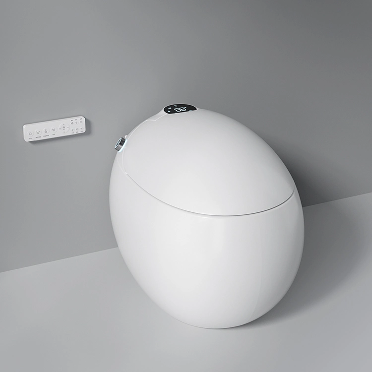 Egg Shape Ceramic Bathroom Intelligent Smart Toilet